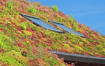 Kingston Upon Hull living roof systems