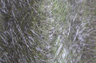 Kingston Upon Hull fibreglass roof work